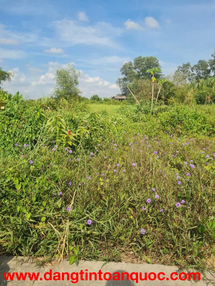 BÁN 3475M2 ĐẤT SẴN 845M2 THỔ - TẠI CHÂU THÀNH. LONG AN CŨ. LH:0773012099.