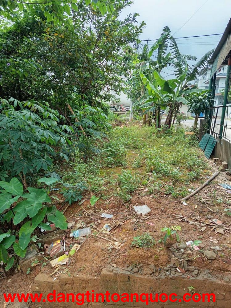 CHÍNH CHỦ CẦN BÁN LÔ ĐẤT CÓ VỊ TRÍ ĐẸP TẠI XÃ MẠN LẠN - HUYỆN THANH BA - TỈNH PHÚ THỌ.