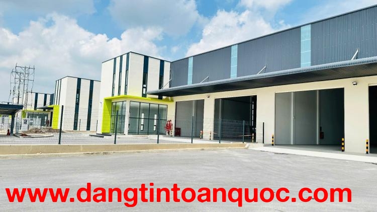 XT115 cho thuê xưởng với DT linh hoạt, hạ tầng hiện đại thu hút nhiều DN FDI