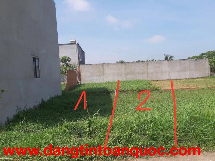 CHÍNH CHỦ CẦN BÁN 2 LÔ ĐẤT – XÃ MỸ HẠNH, TÂY NINH
