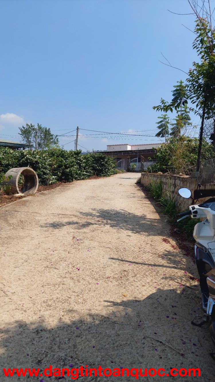 CẦN BÁN GẤP ĐẤT XUÂN THỌ – PHƯỜNG XUÂN TRƯỜNG, ĐÀ LẠT