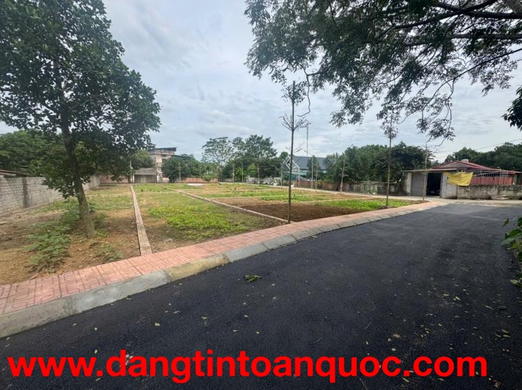 BẢNG HÀNG F0 MỚI TINH - TRUNG TÂM ĐOÀI PHƯƠNG