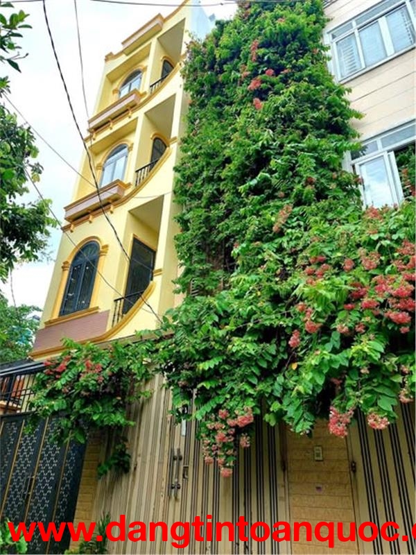 Nhà Đất Thánh Phường 6 Quận Tân Bình.