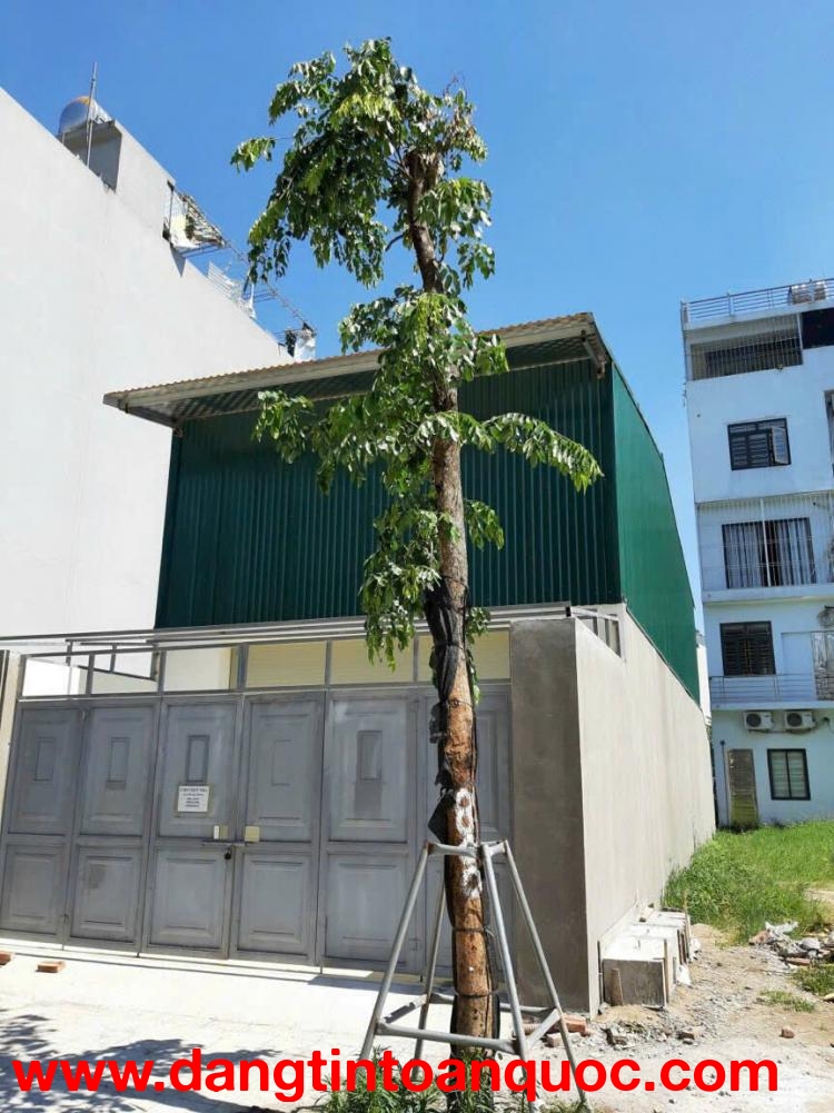 Chính chủ cho thuê nhà tại khu đô thị Nguyên Khê - Phúc Thịnh, Hà Nội