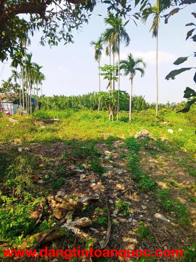 Chủ kẹt tiền cần bán lô đất tại MT đường DX 017 có 1000 m² đất ở., Cẩm Thanh giá 20 tỷ