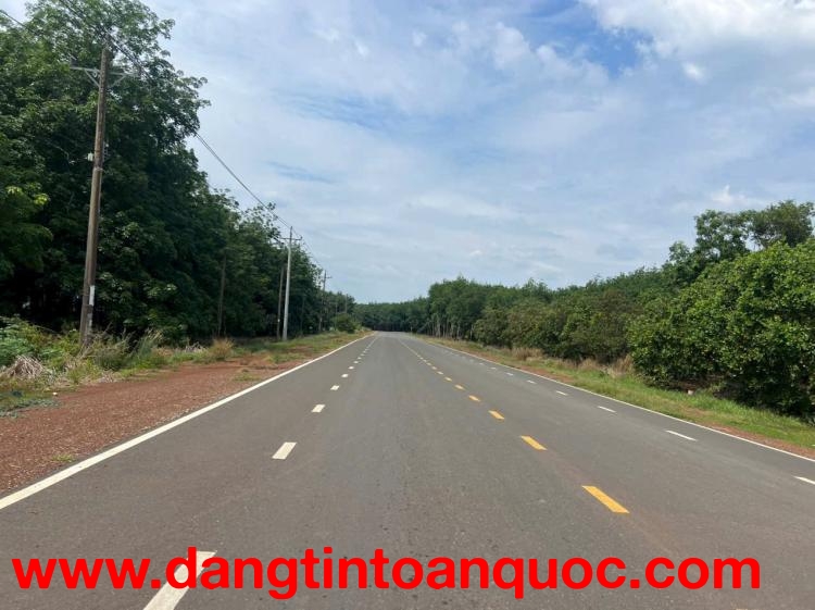 SỞ HỮU NGAY LÔ ĐẤT ĐẸP - GIÁ TỐT - Vị Trí Đắc Địa Tại : ĐỒNG PHÚ - BÌNH PHƯỚC