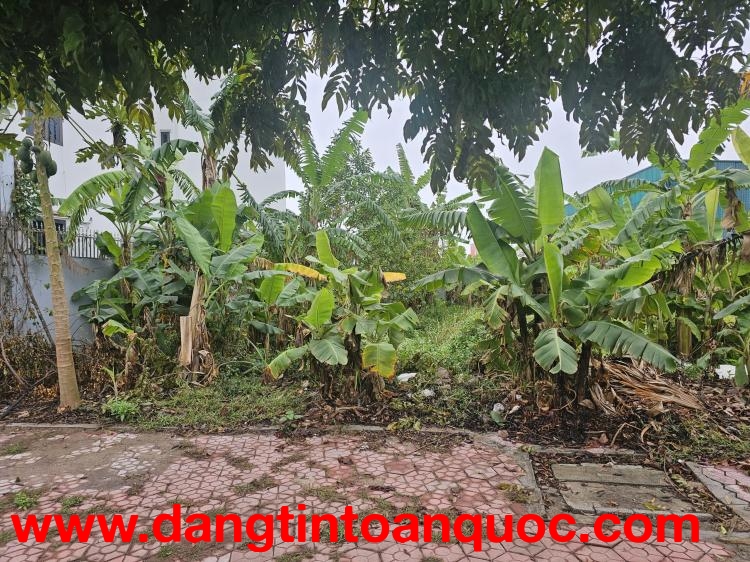 Cần bán lô đất đẹp thuộc khu đô thị quy hoạch bài bản phía Tây cầu Phú Lương.