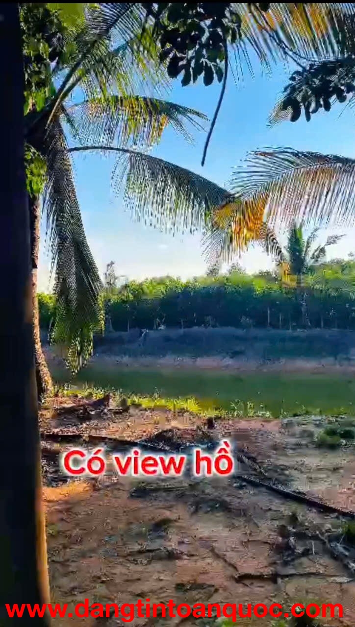ĐẦU TƯ LÀ SINH LỜI - CHÍNH CHỦ CẦN BÁN ĐẤT VIEW NHÀ YẾN – Xã Trà Tân, Bình Thuận