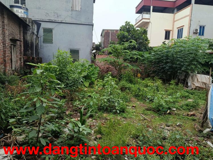 LÔ ĐẤT SIÊU HIẾM TẠI ĐÔNG ANH (7.4 x 12) SĐCC CHỈ 6.5 TỶ. LH:0976272269.